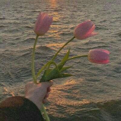 6566体育手机app下载